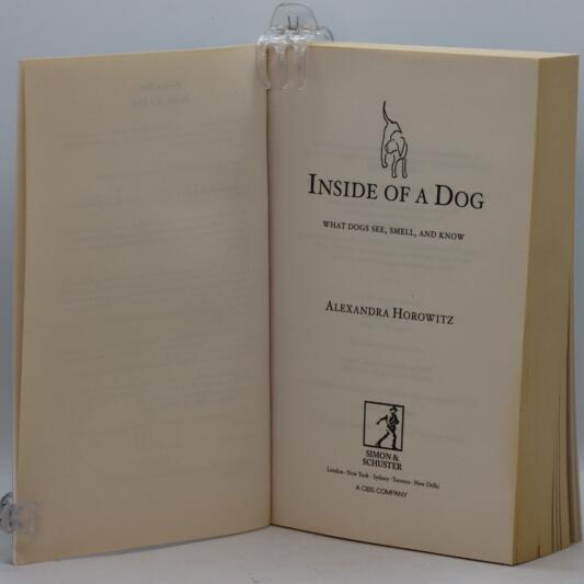 Inside of a Dog. - Image 3