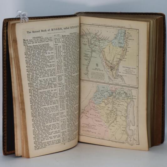 The Polyglot Bible. - Image 4