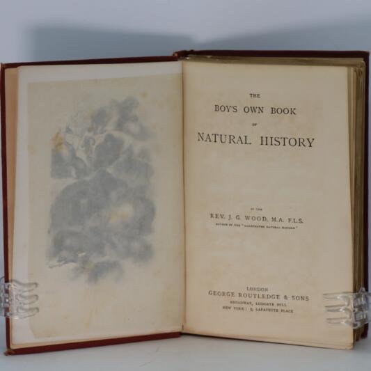 The Boy's Own Book of Natural History. - Image 4