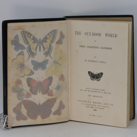 The Outdoor World. - Image 3