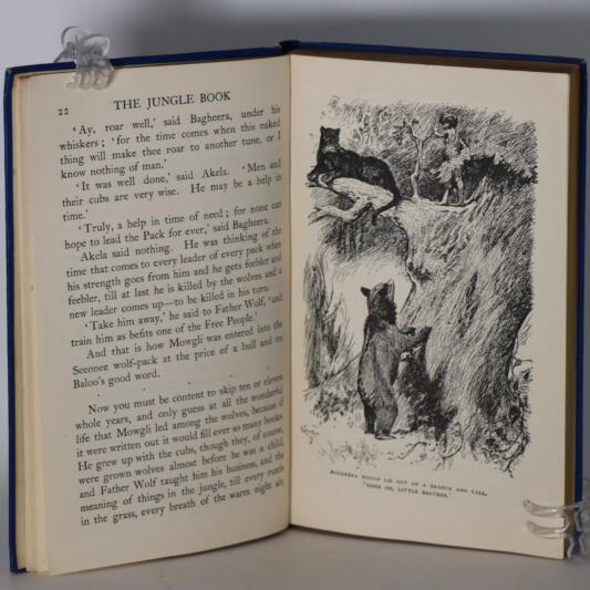 The Jungle Book. - Image 4