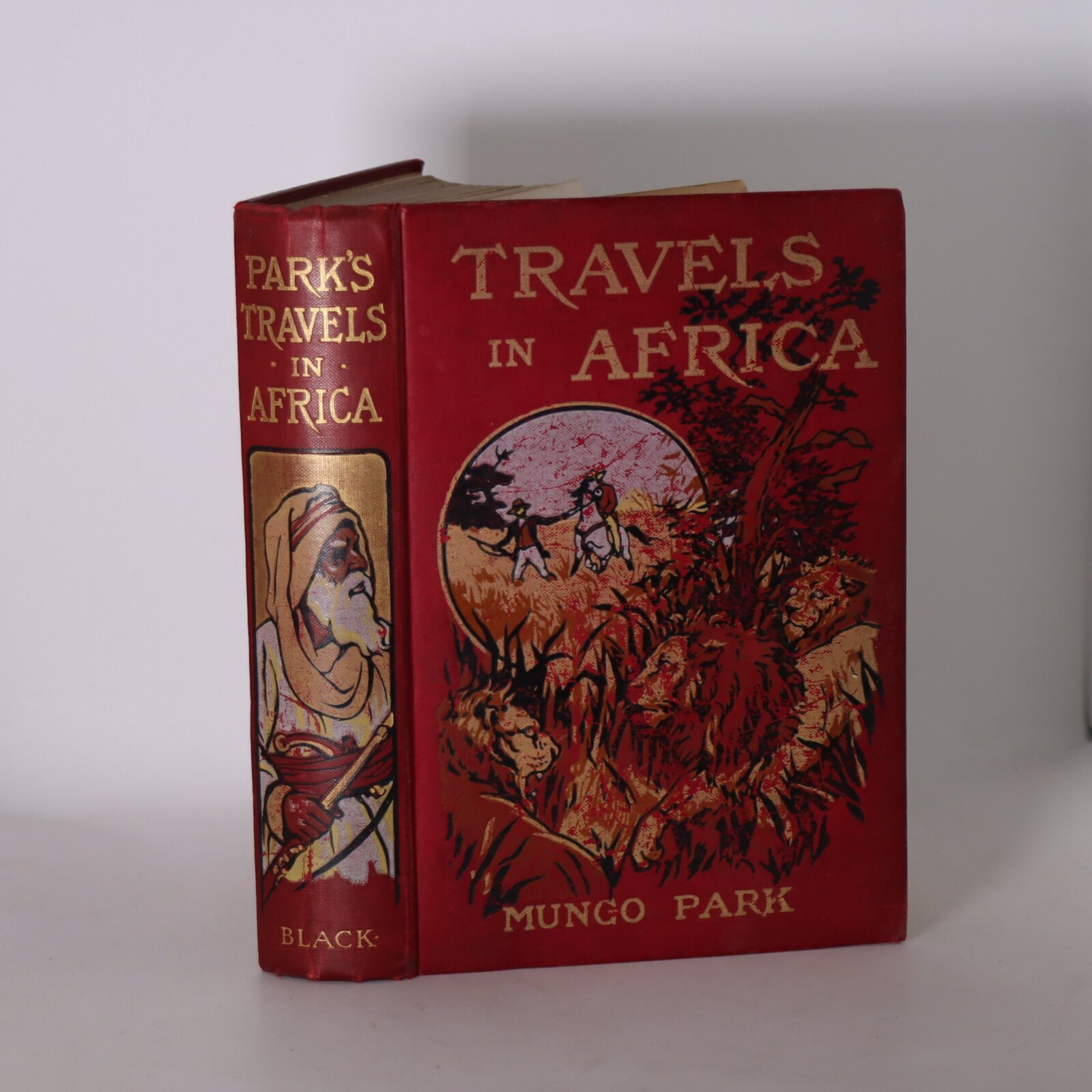 Photo of Travels in Africa.