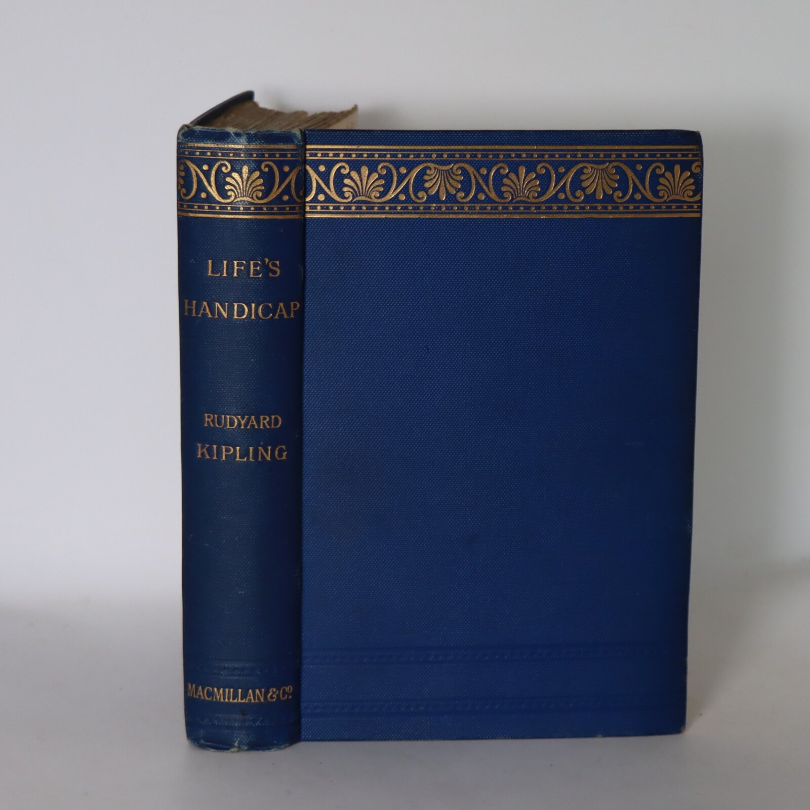 Photo of Life’s Handicap.