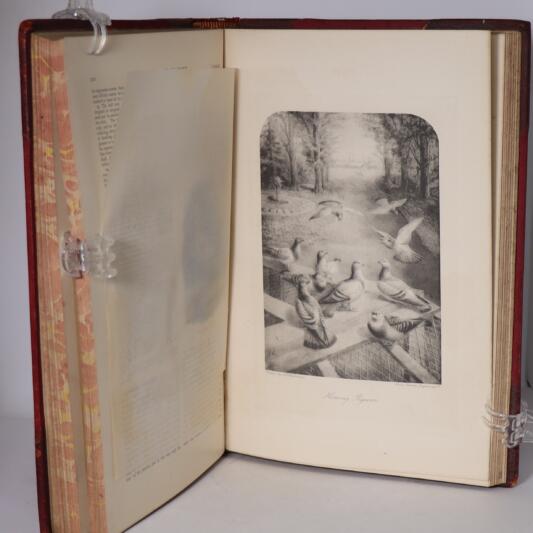 The Encyclopedia of Sport. Four Volumes. - Image 4