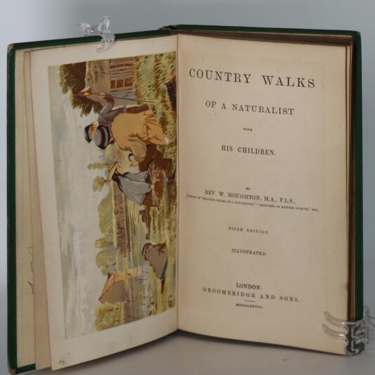 Country Walks of a Naturalist with His Children. - Image 3