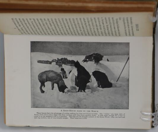 On the Trail and Rapid by Dog-sled. - Image 4