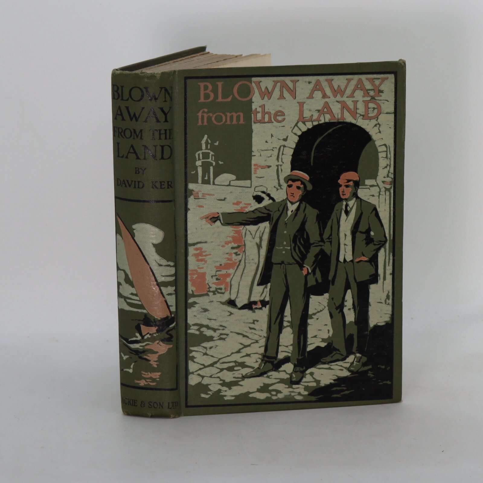 Photo of Blown Away from the Land.