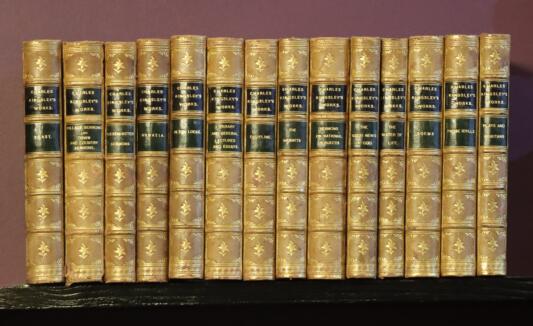 Charles Kingsley's Works. Volumes I to XXVIII. - Image 4