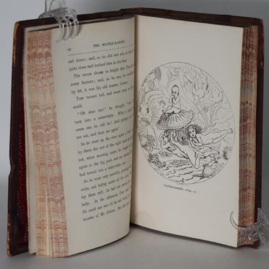 Charles Kingsley's Works. Volumes I to XXVIII. - Image 10