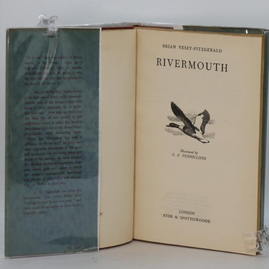 Rivermouth. - Image 3