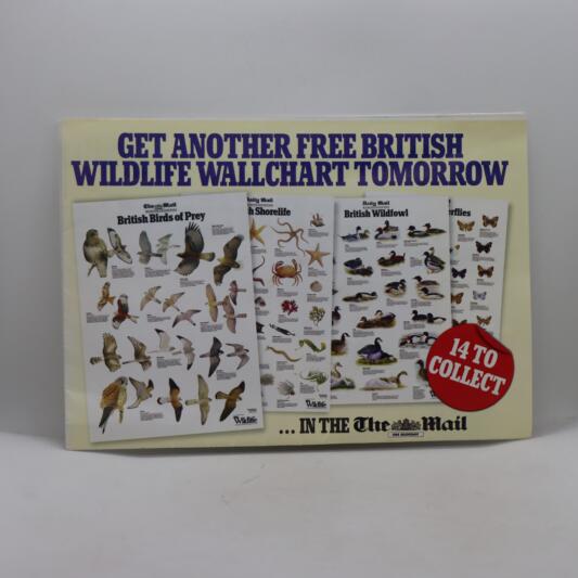 Wildlife Wall Poster. British Garden Birds.