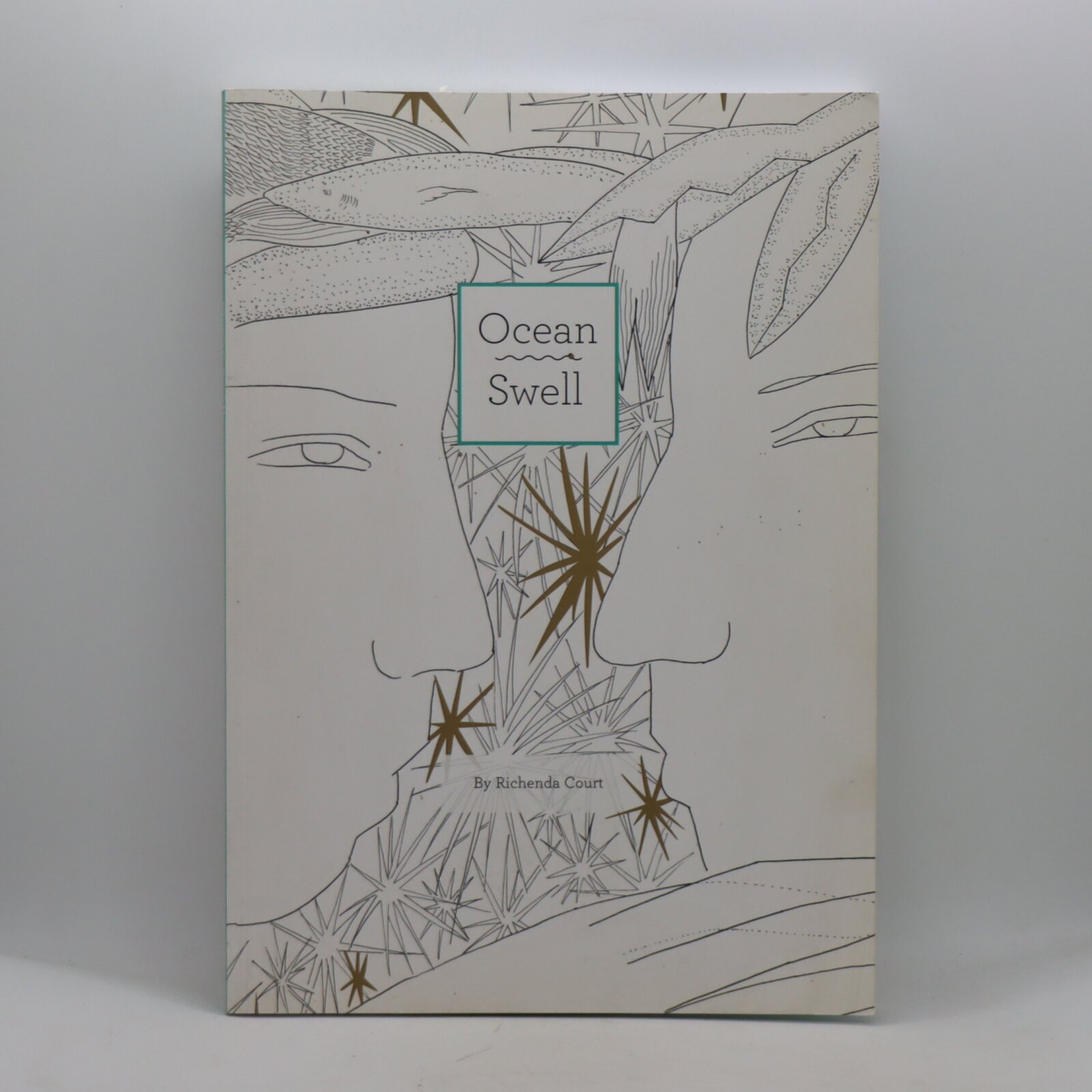 Photo of Ocean Swell.