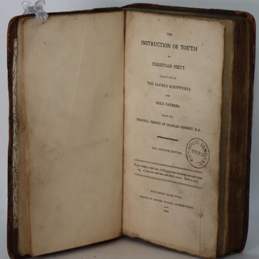 Instruction of Youth. - Image 4