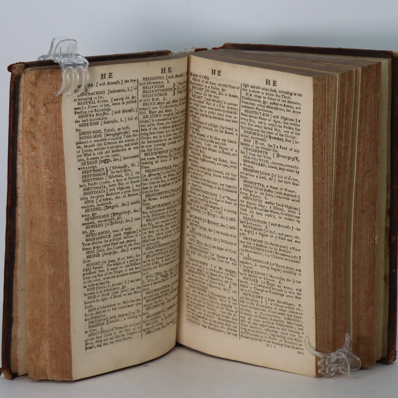 Bailey's Dictionary. Edition 2. - Frost Books and Artifacts Limited