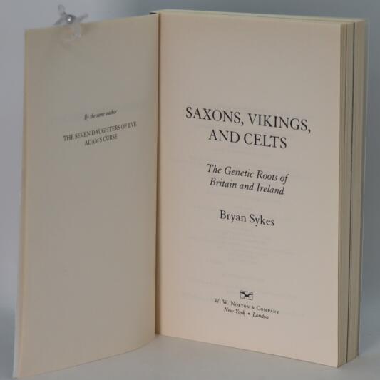 Saxons, Vikings and Celts. - Image 3