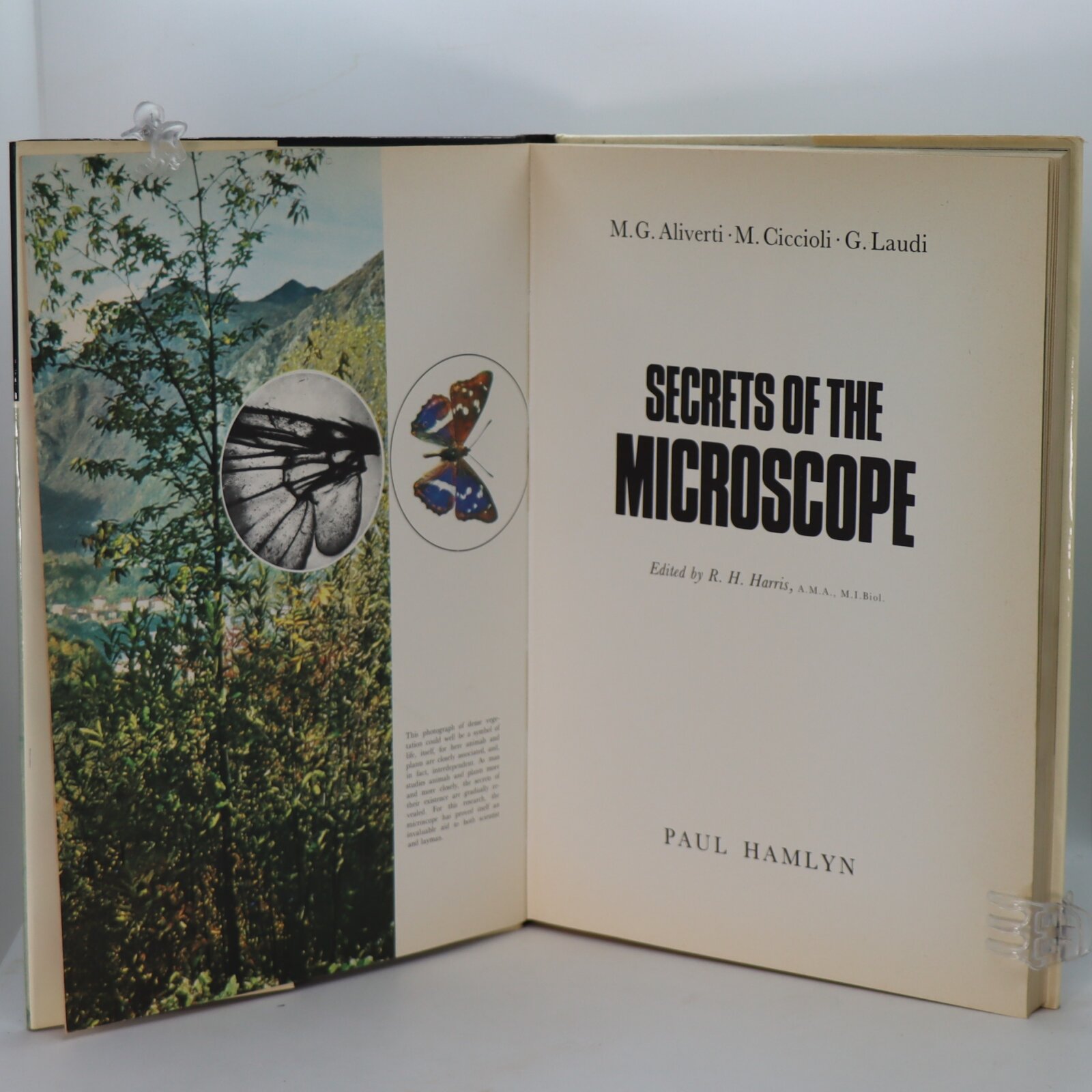 Secrets of the Microscope. - Image 3