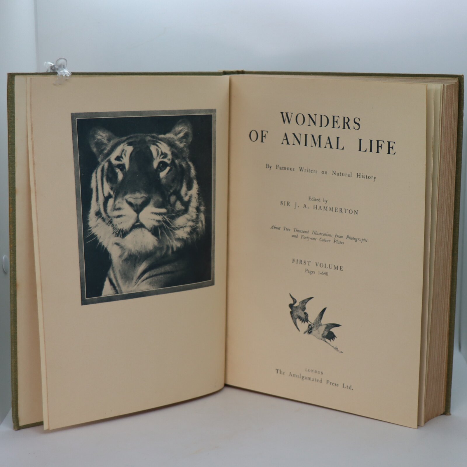 The Wonders of Animal Life. Volume I. - Image 2