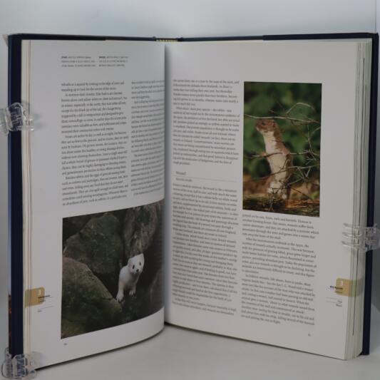 Fauna Britannica. - Image 3