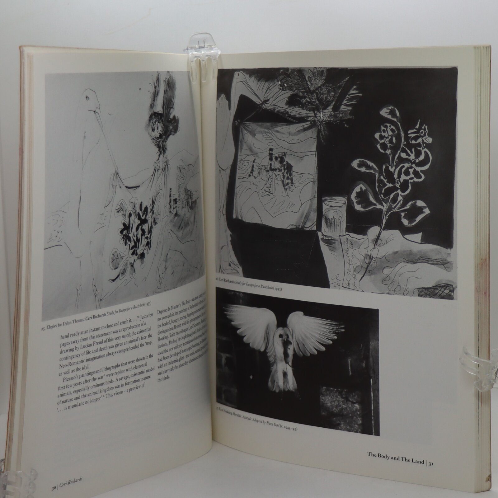 A Paradise Lost. - Image 3