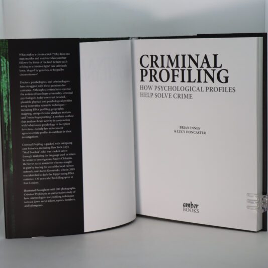 Criminal Profiling. - Image 3