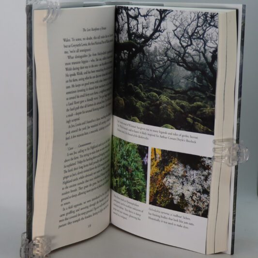 The Lost Rainforests of Britain. - Image 3