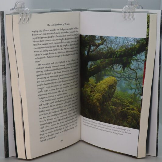 The Lost Rainforests of Britain. - Image 2