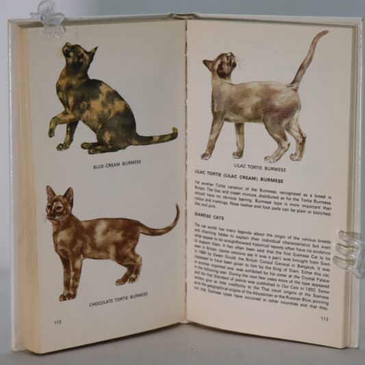 Guide to Cats of the World. - Image 2