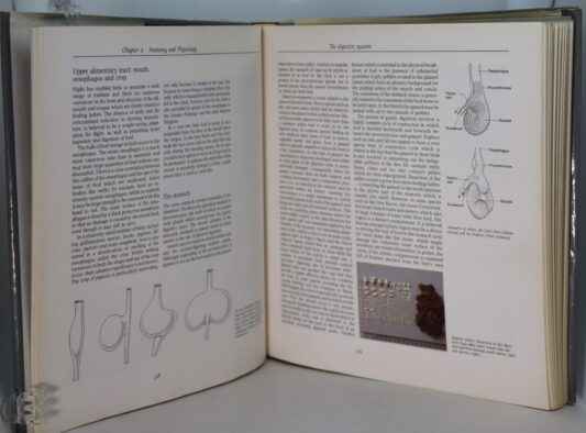 The Cambridge Encyclopedia of Ornithology. - Image 2
