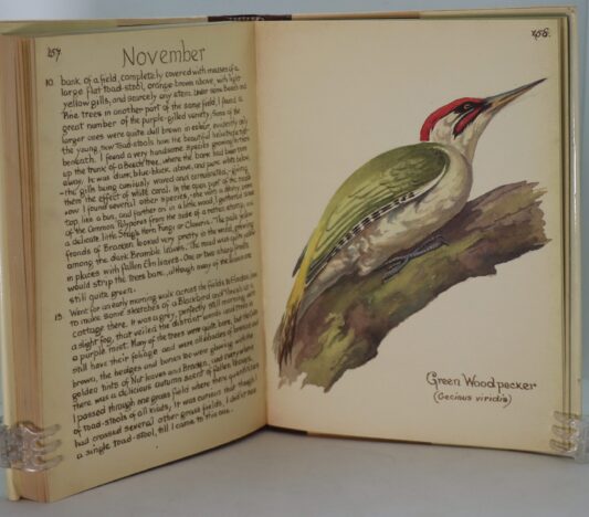 The Country Diary of an Edwardian Lady. - Image 6