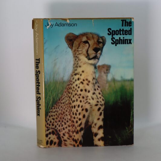 The Spotted Sphinx.