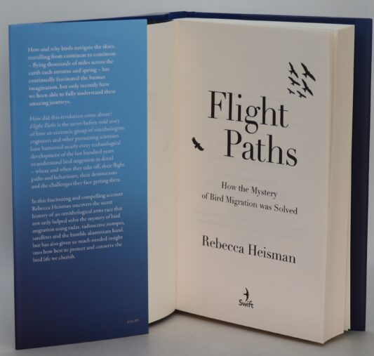 Flight Paths. - Image 3