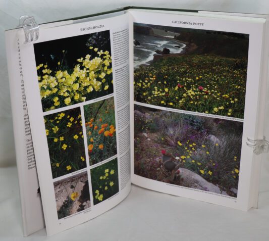 Annuals and Biennials. - Image 2