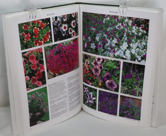 Annuals and Biennials. - Image 4