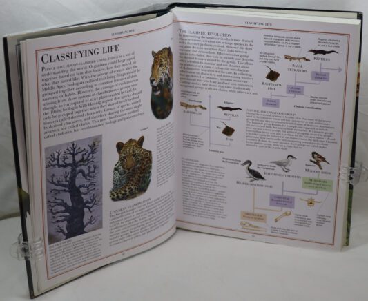 Encyclopedia of Dinosaurs and Prehistoric Life. - Image 4
