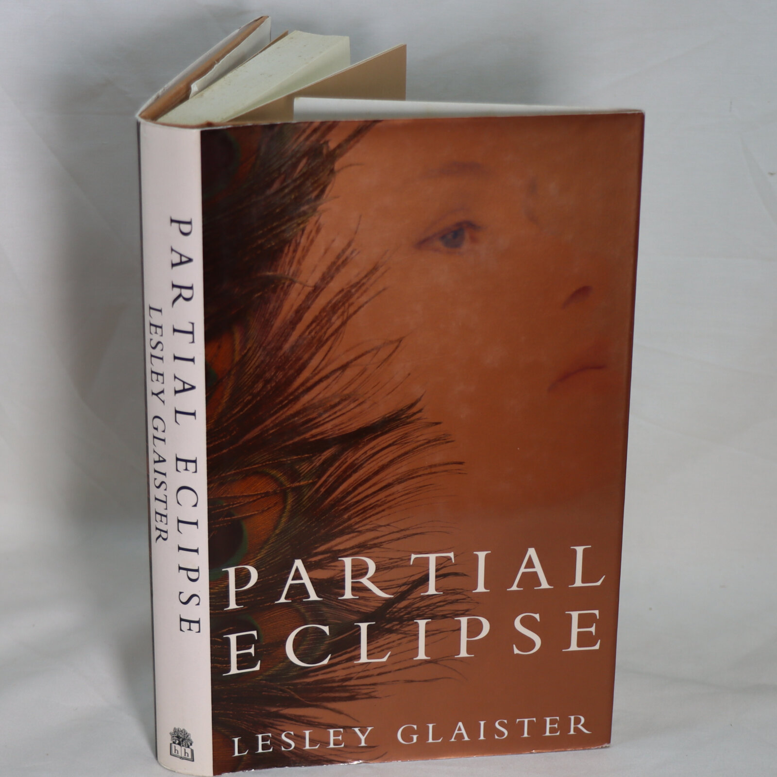 Photo of Partial Eclipse.