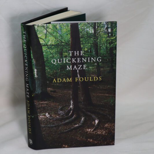 The Quickening Maze.