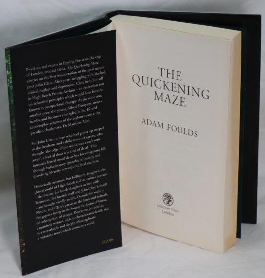 The Quickening Maze. - Image 3