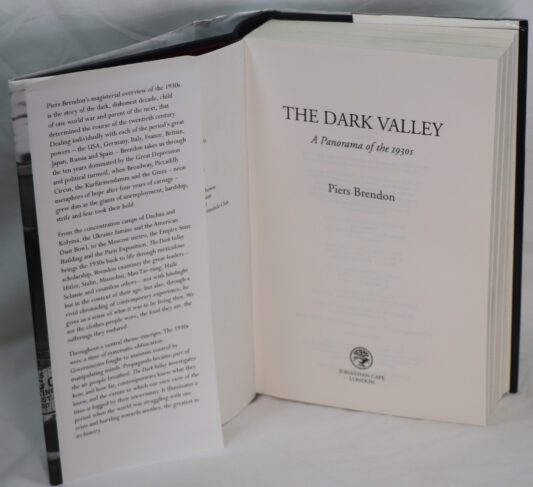 The Dark Valley. A Panorama of the 1930s. - Image 3