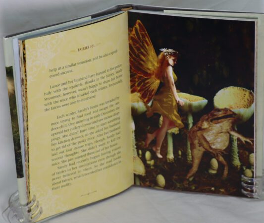 Fairies ! - Image 3