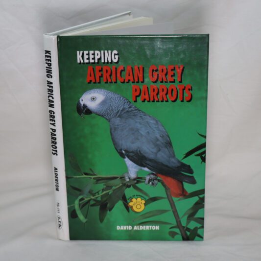 Keeping African Grey Parrots.