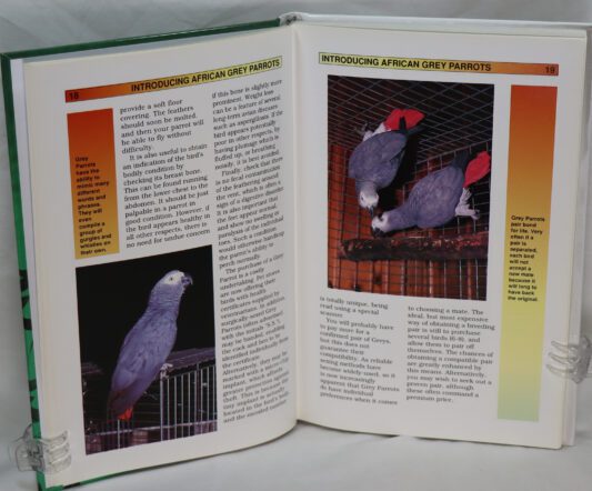 Keeping African Grey Parrots. - Image 2
