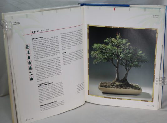 Bonsai Identifier. - Image 2