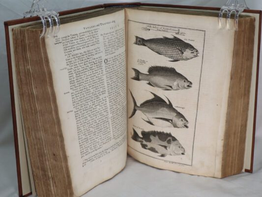 Voyages and Travels. Vol. II. - Image 5
