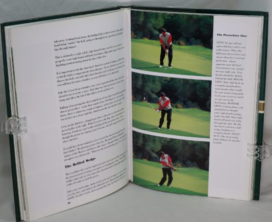 Troubleshooting. Seve Ballesteros. - Image 3