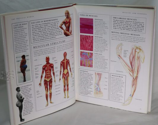 Woman's Body. - Image 3