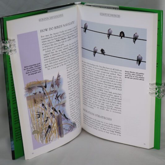 Understanding Bird Behaviour. - Image 3