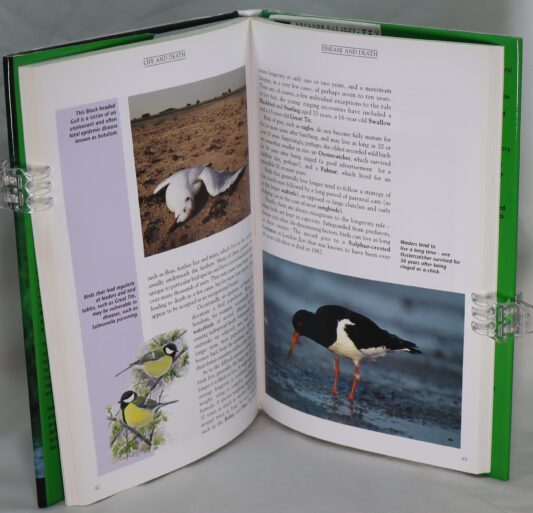 Understanding Bird Behaviour. - Image 2