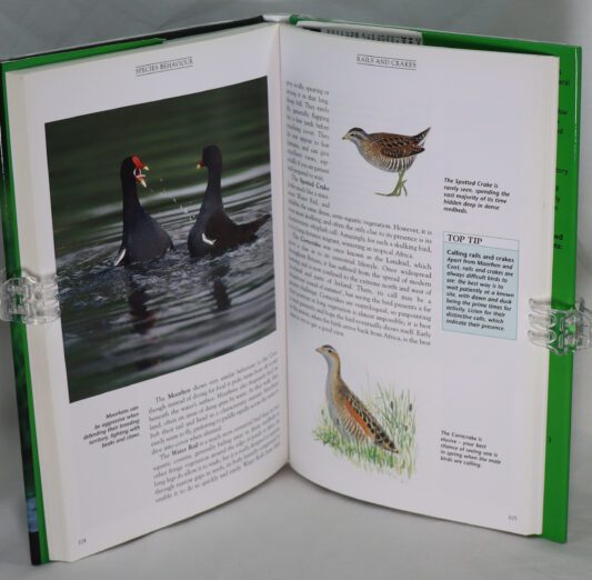 Understanding Bird Behaviour. - Image 5
