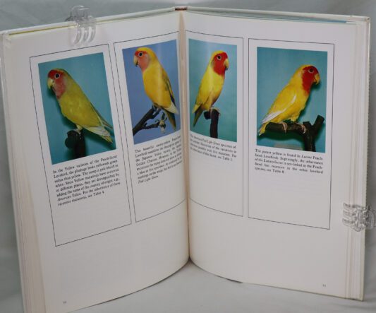Handbook of Lovebirds. Diseases of Parrots. - Image 5