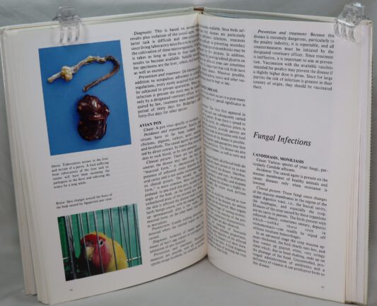 Handbook of Lovebirds. Diseases of Parrots. - Image 4